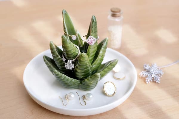 Aloe ringramme, kaktus ringplate, smykkeholder, ring, ørepynt