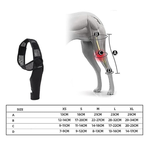 Hundeknebeskyttere for Acl, kneskade, leddgikt - Holder ledd