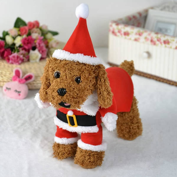 Jultomte hundkostym husdjurskläder vinterhuvad kappa hundkläder