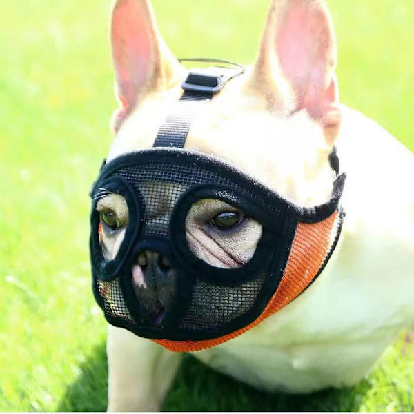 Kort snude hundemaske, fransk bulldog åndbar mesh flad ansigtsmaske M