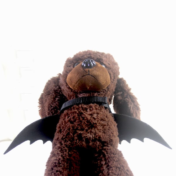 Halloween Fladdermushundsdräkt med koppel Katt Pet Bat Wings Kläder F