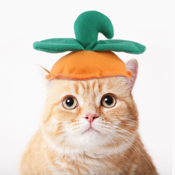 Rolig huvudbonad för sällskapsdjur Hund Katt Halloween Hatt Pumpahuvud med gröna blad