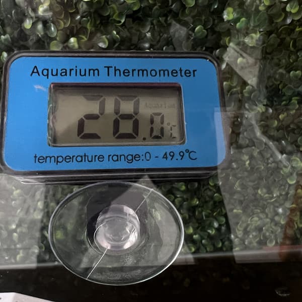 Digitalt akvarie termometer, akvarie termometer og vanntem