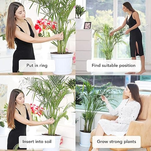 10 växtstöd | Stöd för klätterväxter och blommor