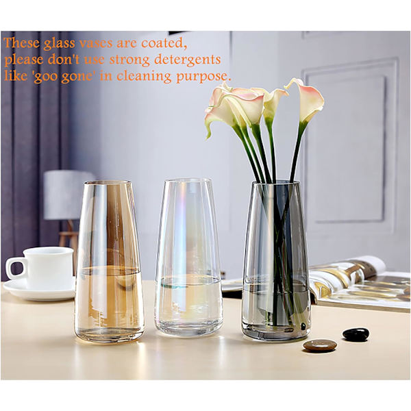 Ins Modern Iridescent Kristallklar Glas Vas för Hemmakontor D