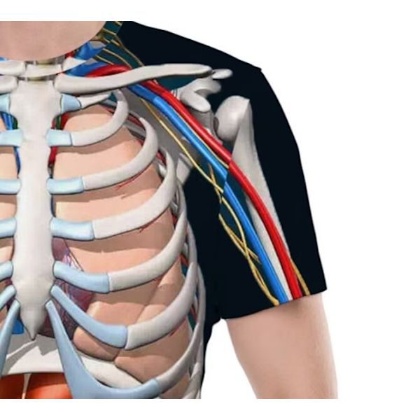 Halloween T-paita Rungon Anatomia Sisäelimet T-paita 3D Tulostus C