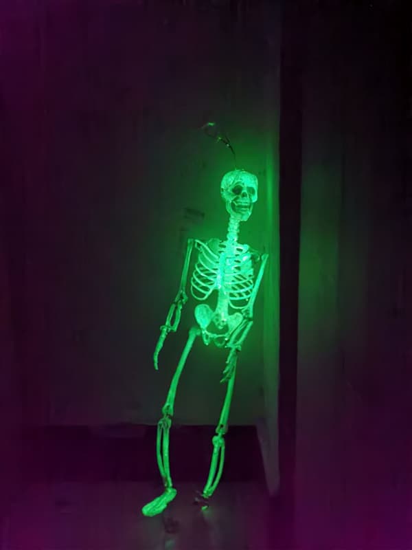 Halloween 40cm glødende skjelett
