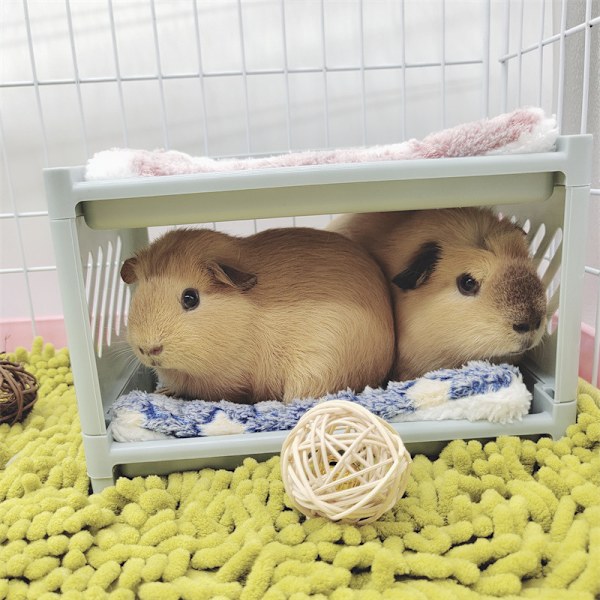 Marsvin køjeseng, marsvin skjulested, hamster væsen seng til
