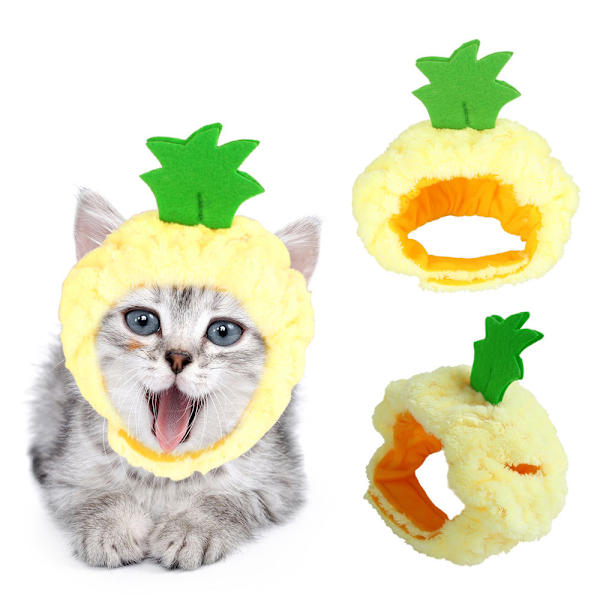 Husdjurshuvudbonad, Teddy, ananas huvudbonad, katt, hatt, öppen öra katthuvud