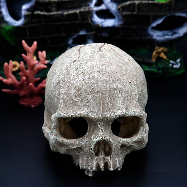 Halloween simulation menneske kranium skelet statue gotisk bil hjem