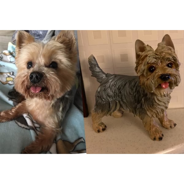 Yorkshire Terrier Staty Dekoration för Hem eller Trädgård i Harts Färg: Gul och Grå