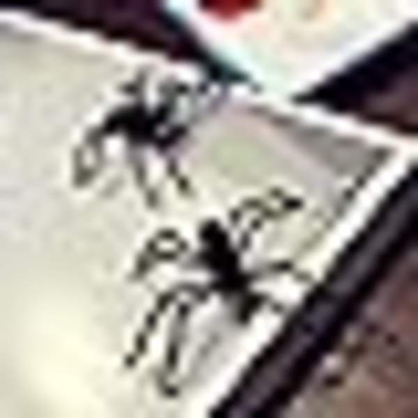 2 st Halloween spindelörhängen svart 3D genomborrade örhängen öronstift