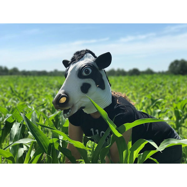 Rolig Maskerad Ko Huvud Djur Mask för Vuxna Klä Ut Ko