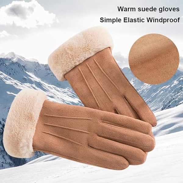 Handskar dam höst och vinter touch screen plus sammet varm su