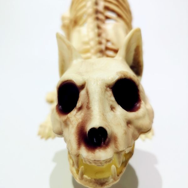 Halloween Spoof Dekoration Rekvisitter Skelet Kat Skelet