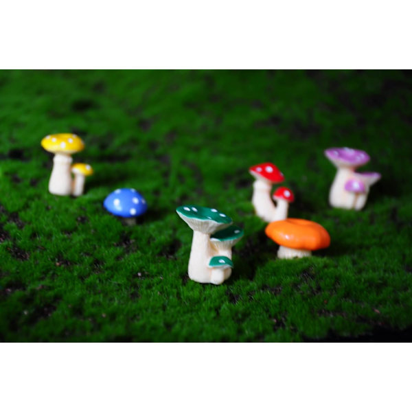 Svampe, 6 i et sæt, Gardon Decor, DIY fe have miniature