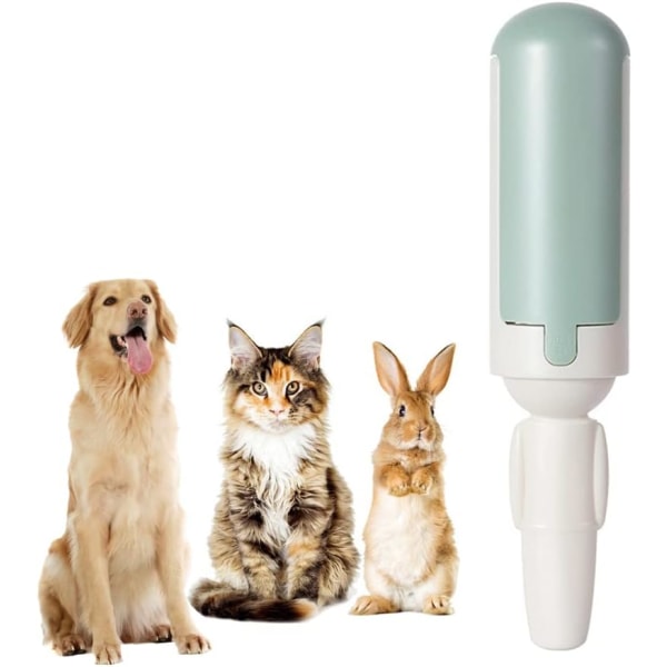 Hårborttagningsborste (grön) lim för husdjur katt hund, hårborttagning