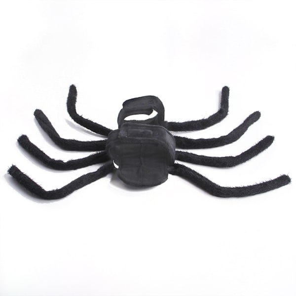 Halloween kæledyr Spooky Spider Bryst og Ryg M