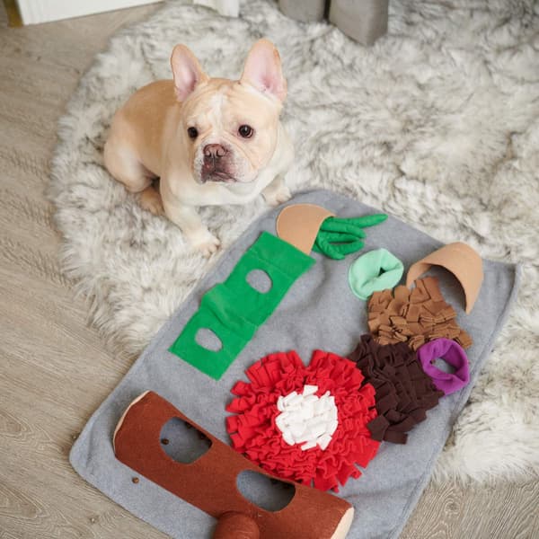 Hundefodermåtte med sødt legetøj Hundetræningsmåtte (Vaskebjørn)
