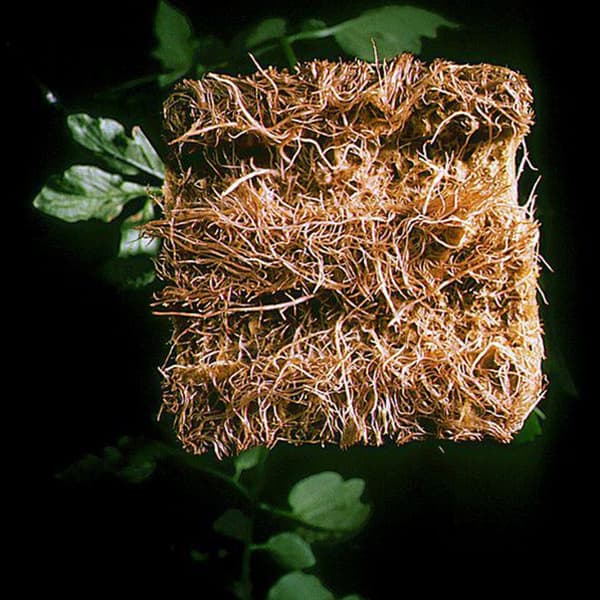 Hydroponisk Mesh Net-Split Mesh Container Kit for Growing Plants