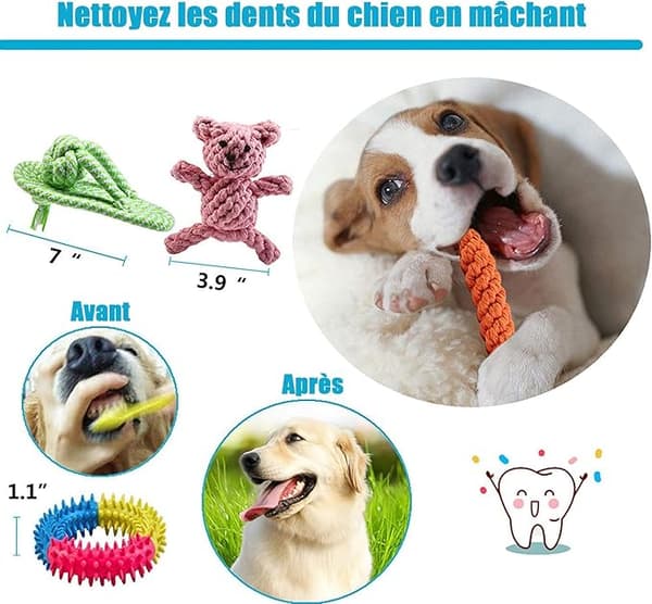 Set med 10 hund leksaker, hållbart tuggleksak