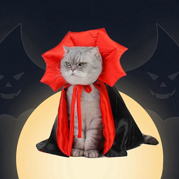 Halloween-kissan ja koiran viitta-asu, punainen lemmikkieläinten viitta Halloweenia varten