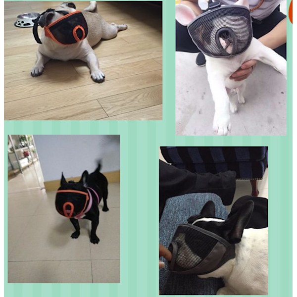 Kort snude hundemaske, fransk bulldog åndbar mesh flad ansigtsmaske M