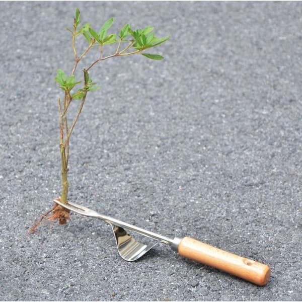 Hortikulturell skärare, rostfritt stål spade, rotutdragare, hacka