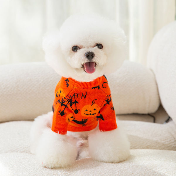 Koiran Halloween-asu Kurpitsa Lemmikkipaidat Hauska Pentu Kissa Neule