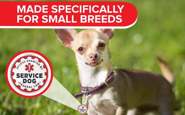Servicehundmerke, 2-pakning: Metall ID-merker for servicehunder, e