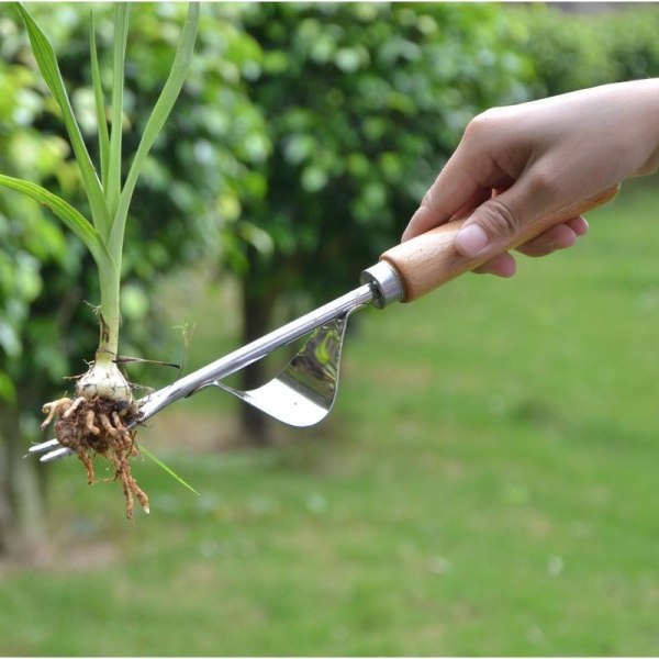 Hortikulturell skärare, rostfritt stål spade, rotutdragare, hacka