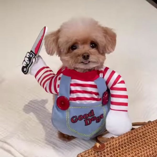 Sjovt kæledyr hundelæge kostume hvalp cosplay kostume frakke med pilleb