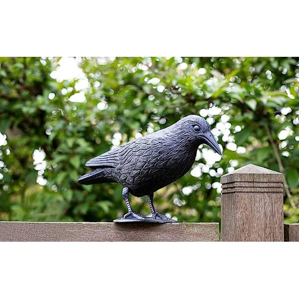 Kyyhkynenpelotin - Varis - Pienille linnuille tarkoitettu karkote