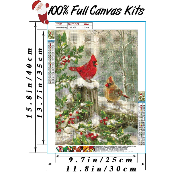 Christmas Diamond Painting Kit, Bird Diamond Art Kit, 5D Full Di