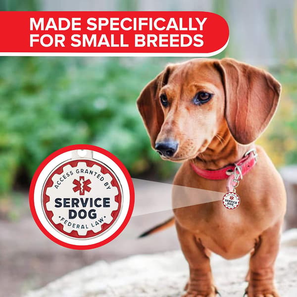 Servicehundbricka, 2-pack: Metalliska ID-brickor för tjänstedjur, e