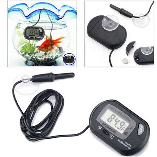 Liten digital akvarie termometer med sugkoppar och sond och B