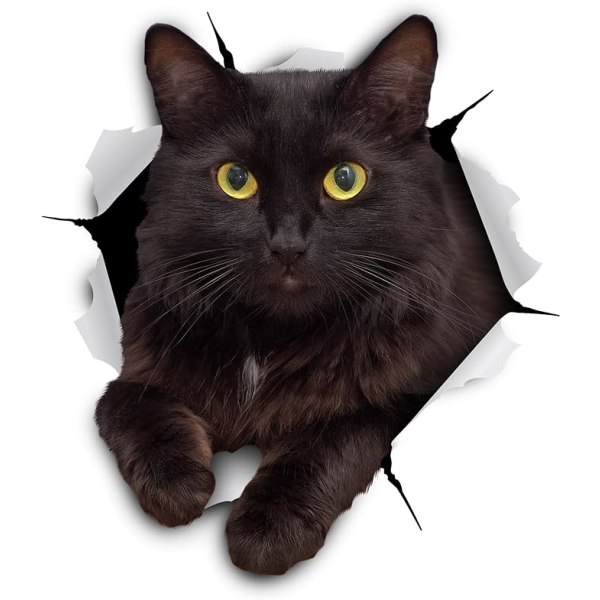 3D Cat Stickers - Set med 2 - Black Cat Wall Decals - Cat Lover G