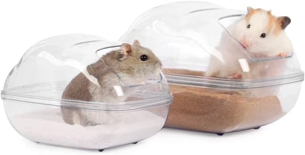 Stor hamster sandbadsbehållare transparenta moln hamsterfladdermus