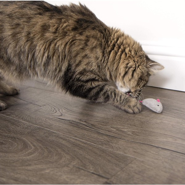 10 søte små plysj urte muse katt leker for katt kjæledyr