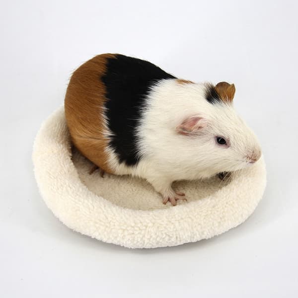 Hamster seng, rund varm fløjls sovemåtte til hamster/pindsvin/Sq