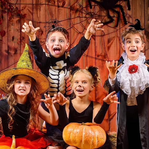 2-pak Halloween hårbøyle edderkoppnett hårbøyle heksehatt hode