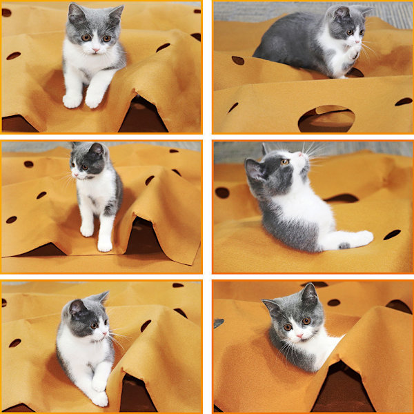 Katt träningsmatta katt borr och bitmatta filt katt agility träning