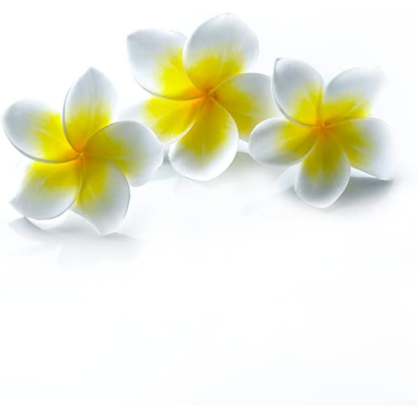 6 stk. 2,7 tommer kunstige skum Plumeria Rubra blomsterhoveder Hawaiia