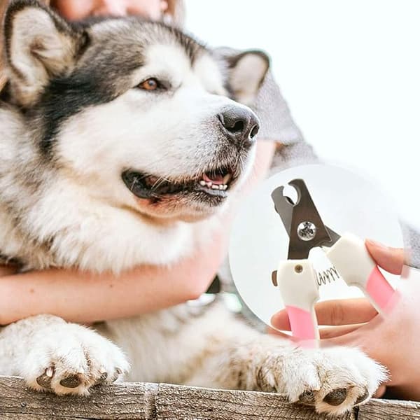 Hunde- og katteklo-klipper med barberblad