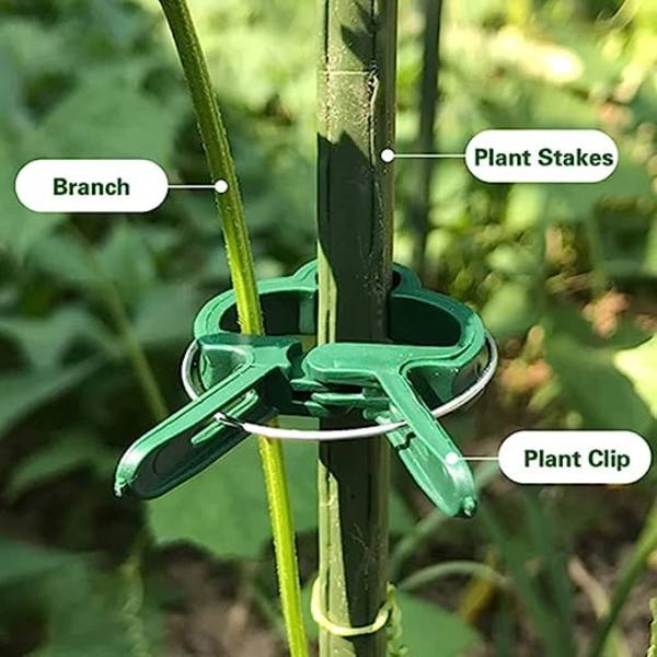 80 klips (30 store + 50 små) Grønne plante klips