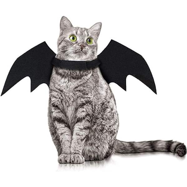 Set med 2 Halloween husdjur fladdermus vingar katt hund fladdermus vampyr kostym Hal