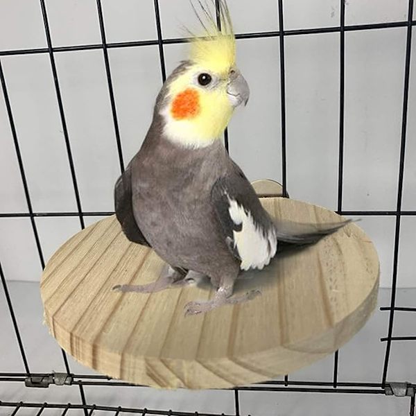 4 Pakke Naturlig Træ Hamster Rack Rotte Legeplads Chinchilla Bur