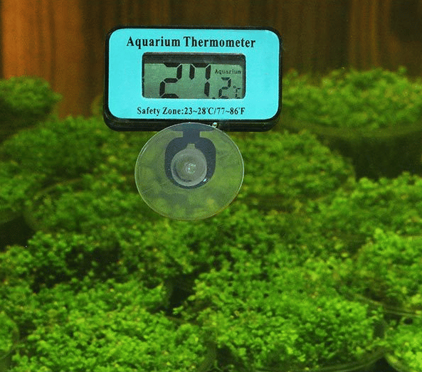 Digitalt akvarie termometer, akvarie termometer og vanntem