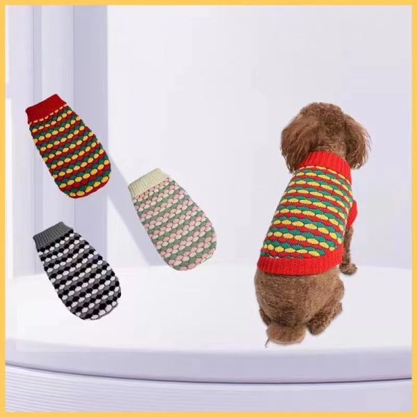 3 nya djurtröjor Nya hundkläder höst/vinter Teddy Boxer swe