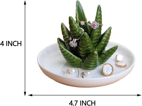 Aloe ringramme, kaktus ringplate, smykkeholder, ring, ørepynt